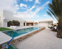 Nieuwbouw Woningen - Vrijstaande villa - Benejúzar - alta