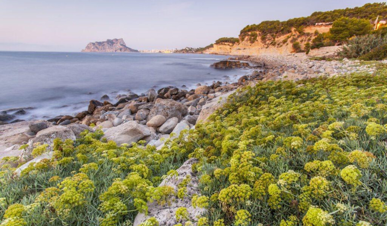 Nieuwbouw Woningen - Vrijstaande villa - Benissa - Cala Advocat