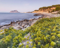 Nieuwbouw Woningen - Vrijstaande villa - Benissa - Cala Advocat