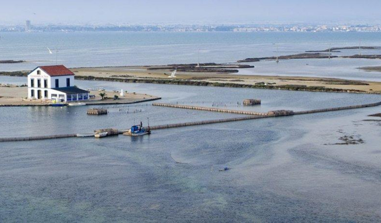 Nieuwbouw Woningen - Vrijstaande villa - San Pedro del Pinatar - Centro