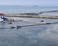 Nieuwbouw Woningen - Vrijstaande villa - San Pedro del Pinatar - Centro