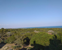 Nouvelle construction - Appartement - Guardamar del Segura - Pueblo