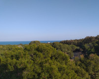 Nouvelle construction - Appartement - Guardamar del Segura - Pueblo