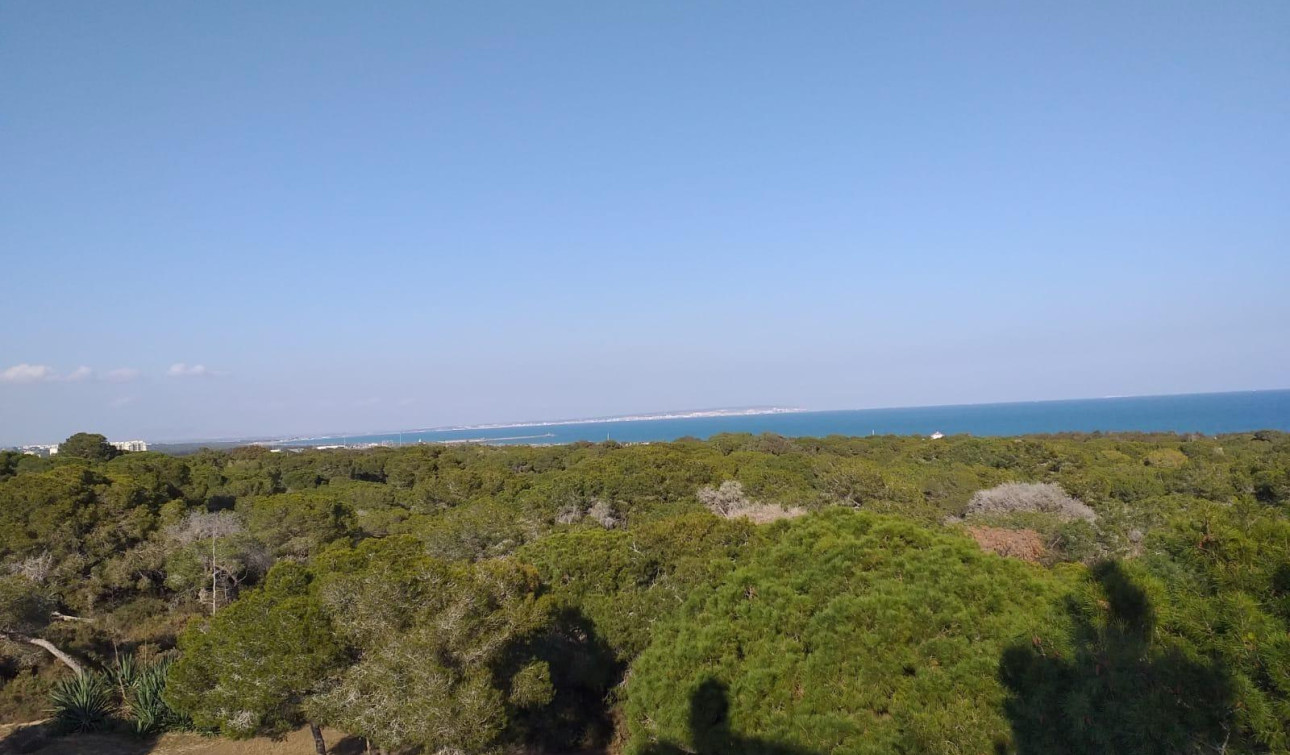 Nouvelle construction - Appartement - Guardamar del Segura - Pueblo