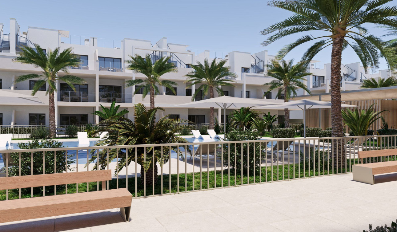 Nouvelle construction - Appartement - san cayetano