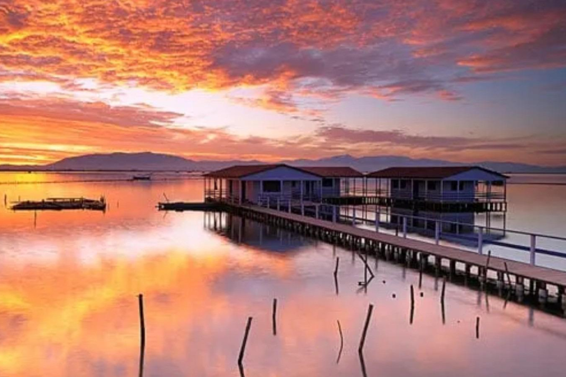 Nouvelle construction - Appartement - San Pedro del Pinatar - Los Pinos