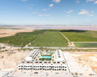 Nouvelle construction - Appartement - Torrevieja - Los Balcones