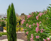 Nouvelle construction - Maison de ville - Orihuela - Entre Naranjos