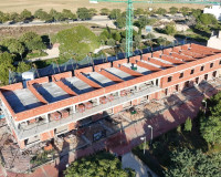Nouvelle construction - Maison de ville - Pilar de la Horadada - pueblo