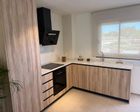 Nouvelle construction - Maison de ville - Pilar de la Horadada - pueblo
