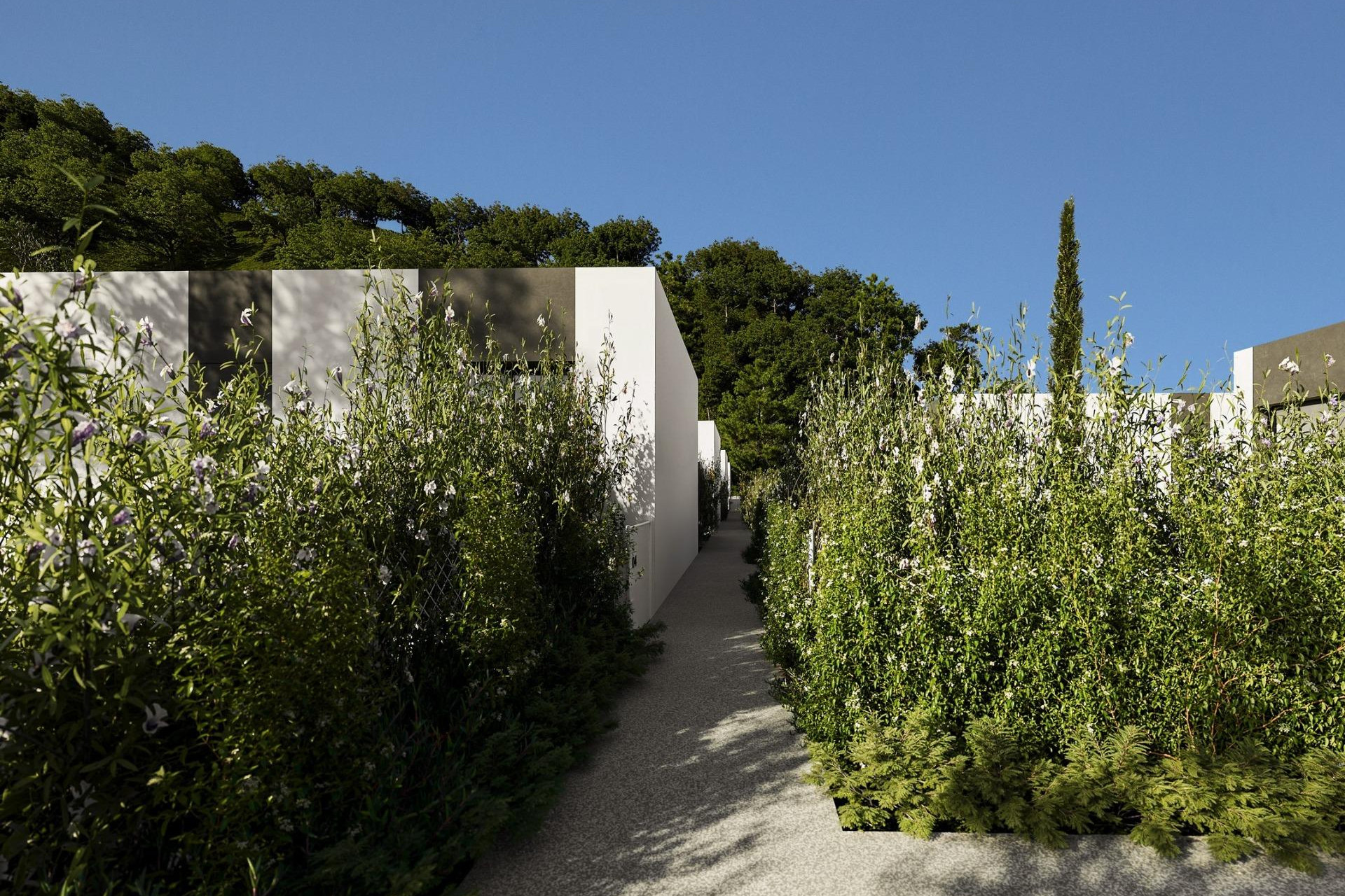 Nouvelle construction - Villa Individuelle - Alfas del Pí - Barranc Fondo