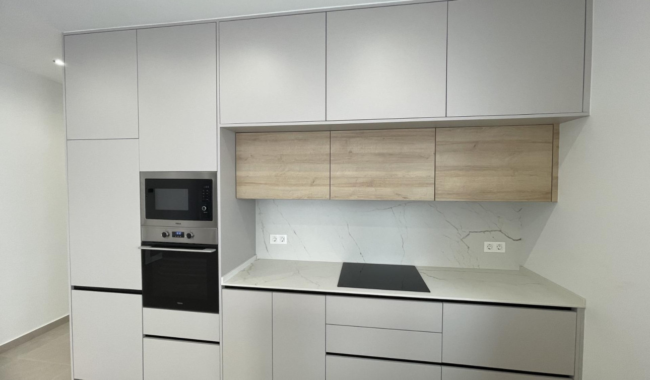 Nouvelle construction - Villa Individuelle - Almoradí - Heredades