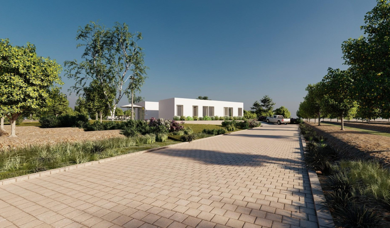Nouvelle construction - Villa Individuelle - Benejúzar - alta