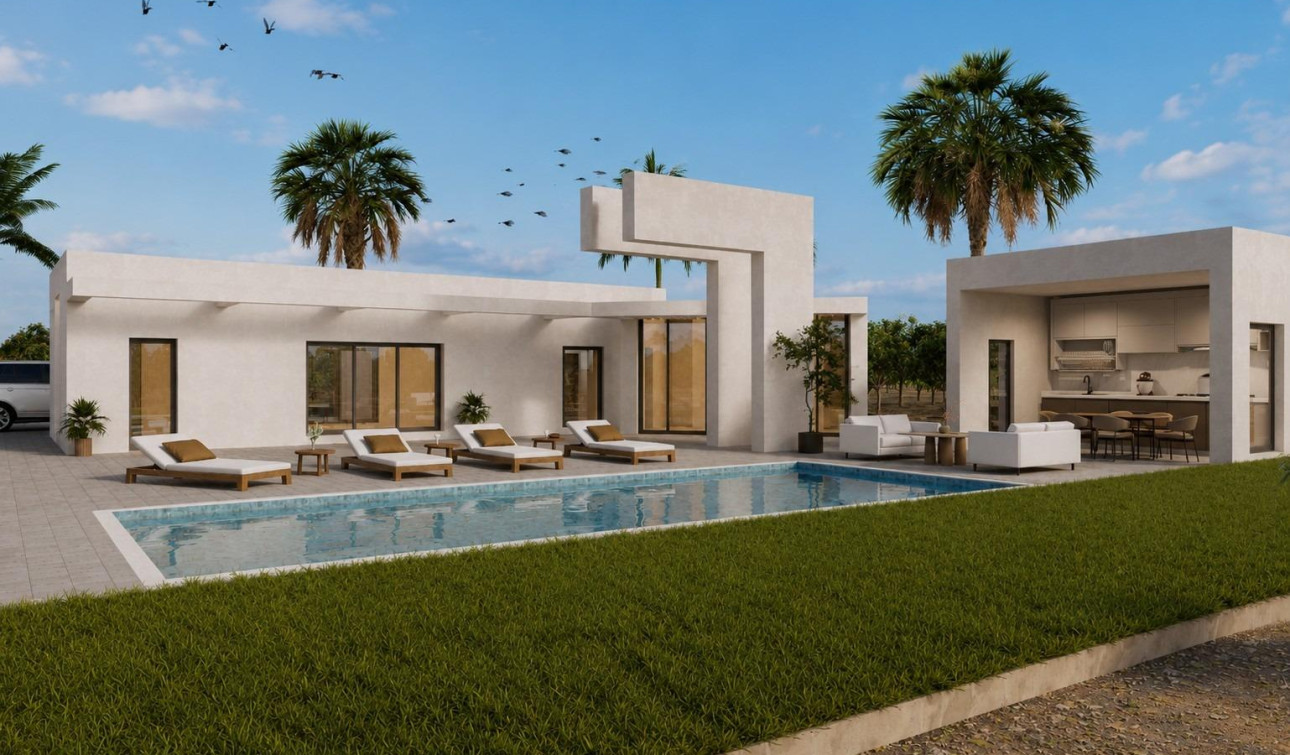 Nouvelle construction - Villa Individuelle - Benejúzar - alta