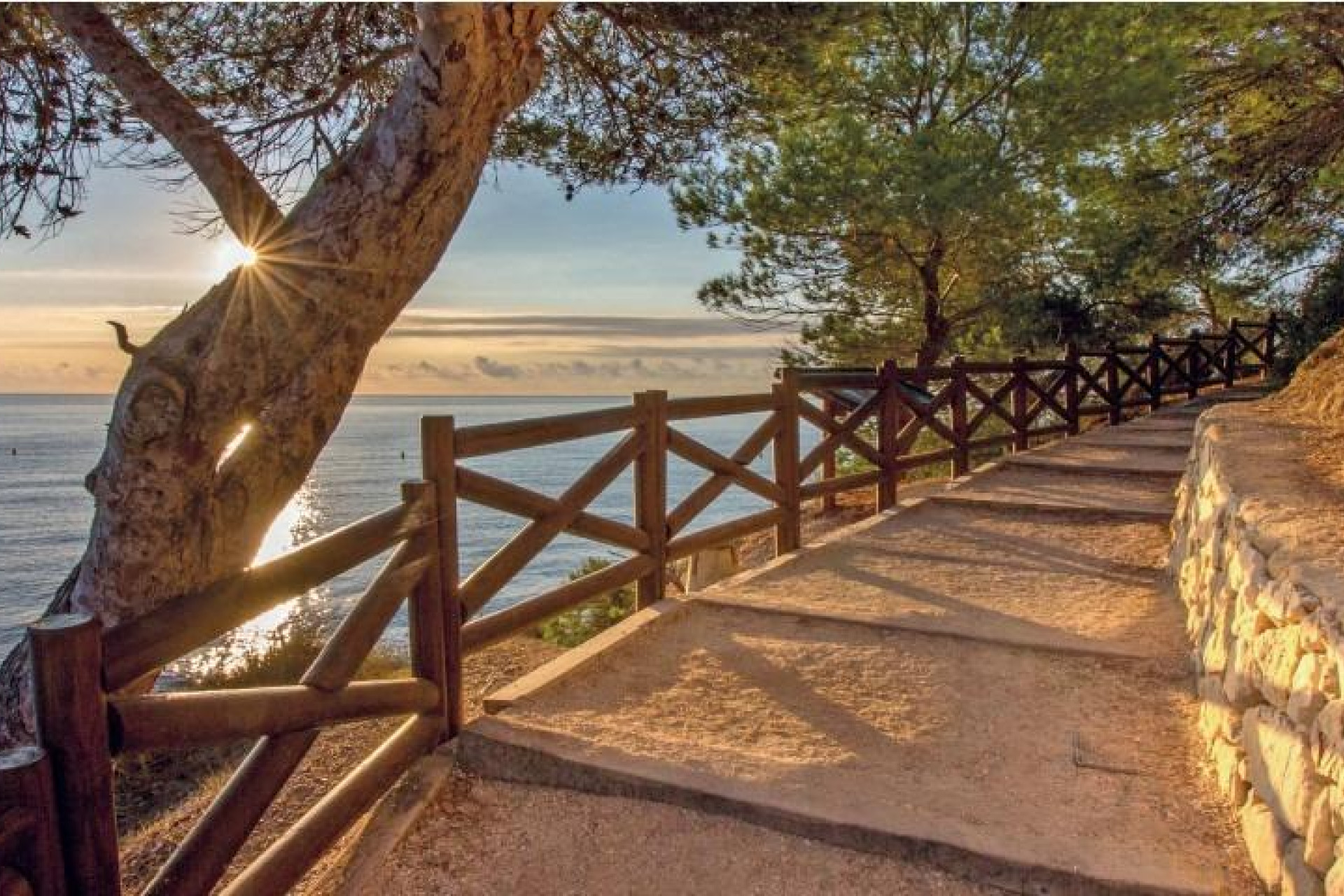 Nouvelle construction - Villa Individuelle - Benissa - Cala Advocat