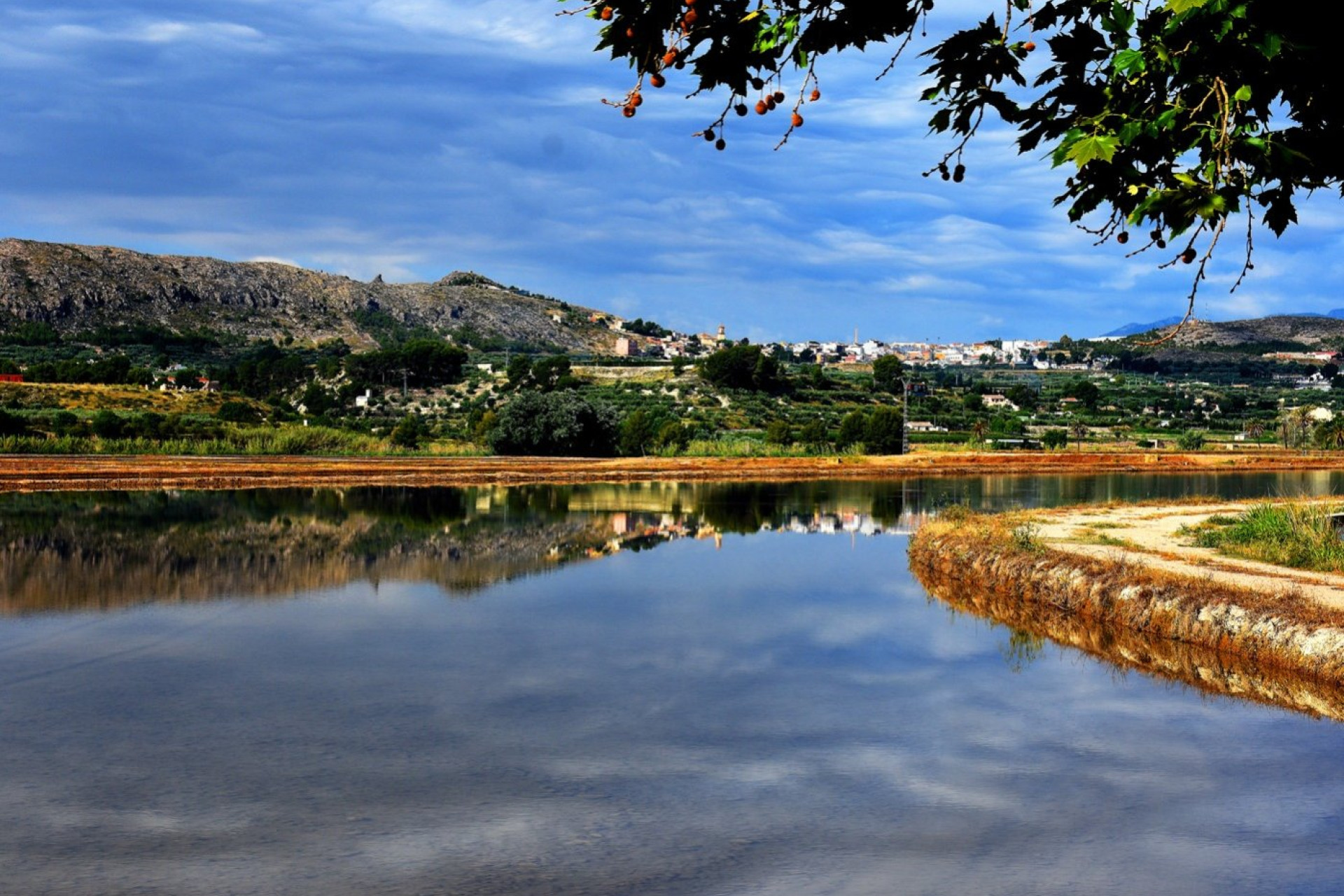 Nouvelle construction - Villa Individuelle - Calasparra - Coto Riñales