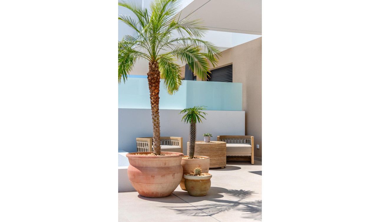 Nouvelle construction - Villa Individuelle - Dolores - Sector 3