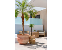 Nouvelle construction - Villa Individuelle - Dolores - Sector 3