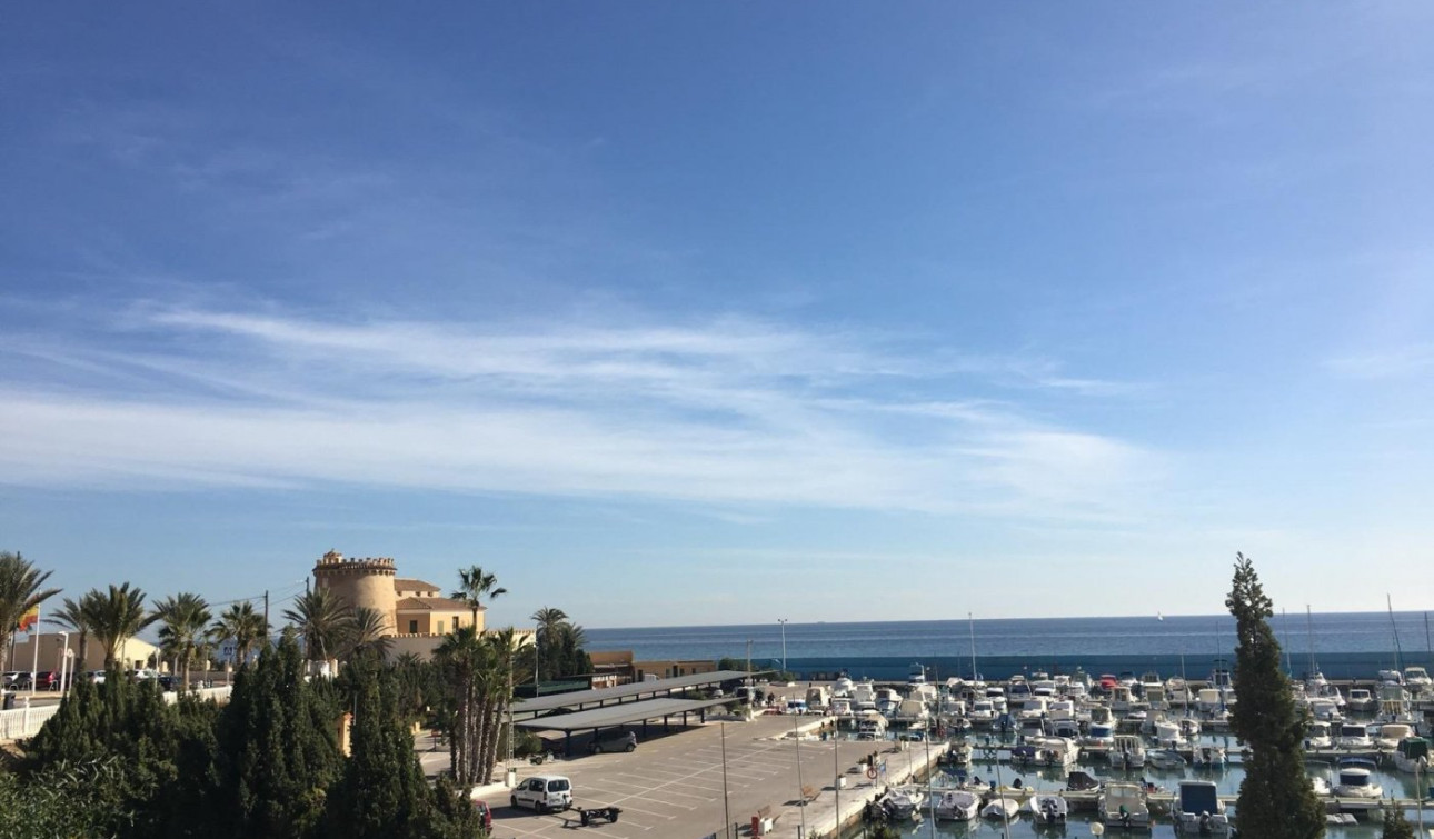 Nouvelle construction - Villa Individuelle - Pilar de la Horadada - Las Higuericas