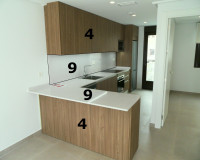 Nouvelle construction - Villa Individuelle - Pilar de la Horadada - parque Andromeda