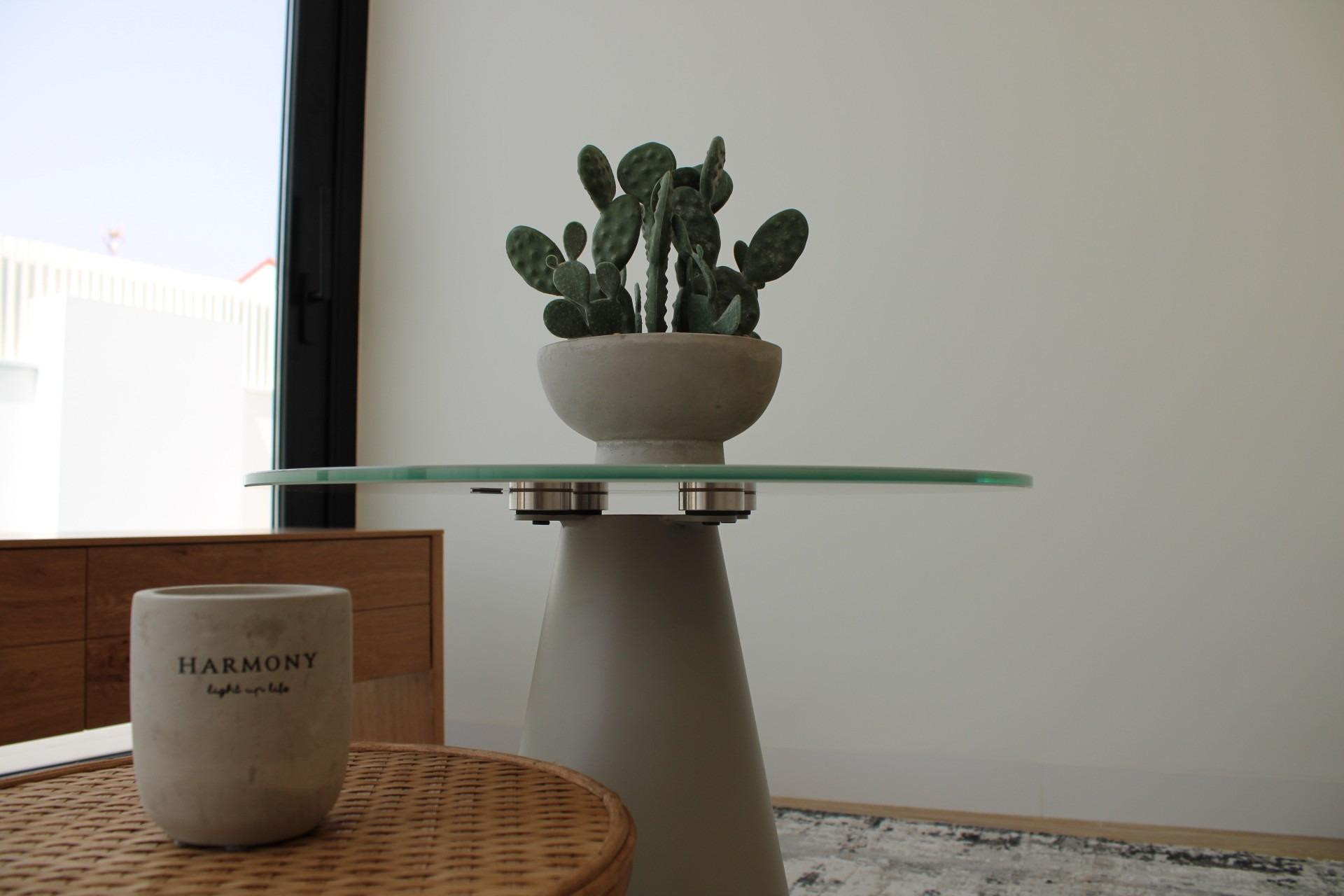 Nouvelle construction - Villa Individuelle - Pilar de la Horadada - Torre De La Horadada