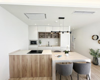 Nouvelle construction - Villa Individuelle - Pilar de la Horadada - Torre De La Horadada