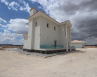 Nouvelle construction - Villa Individuelle - Pinoso - Camino Del Prado