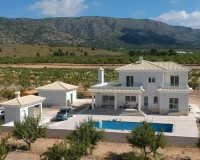 Nouvelle construction - Villa Individuelle - Pinoso - Camino Del Prado