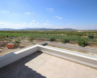 Nouvelle construction - Villa Individuelle - Pinoso - Camino Del Prado