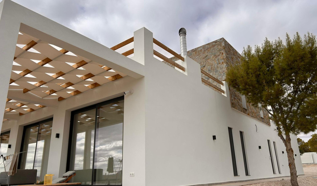 Nouvelle construction - Villa Individuelle - Pinoso - Casas Pastor