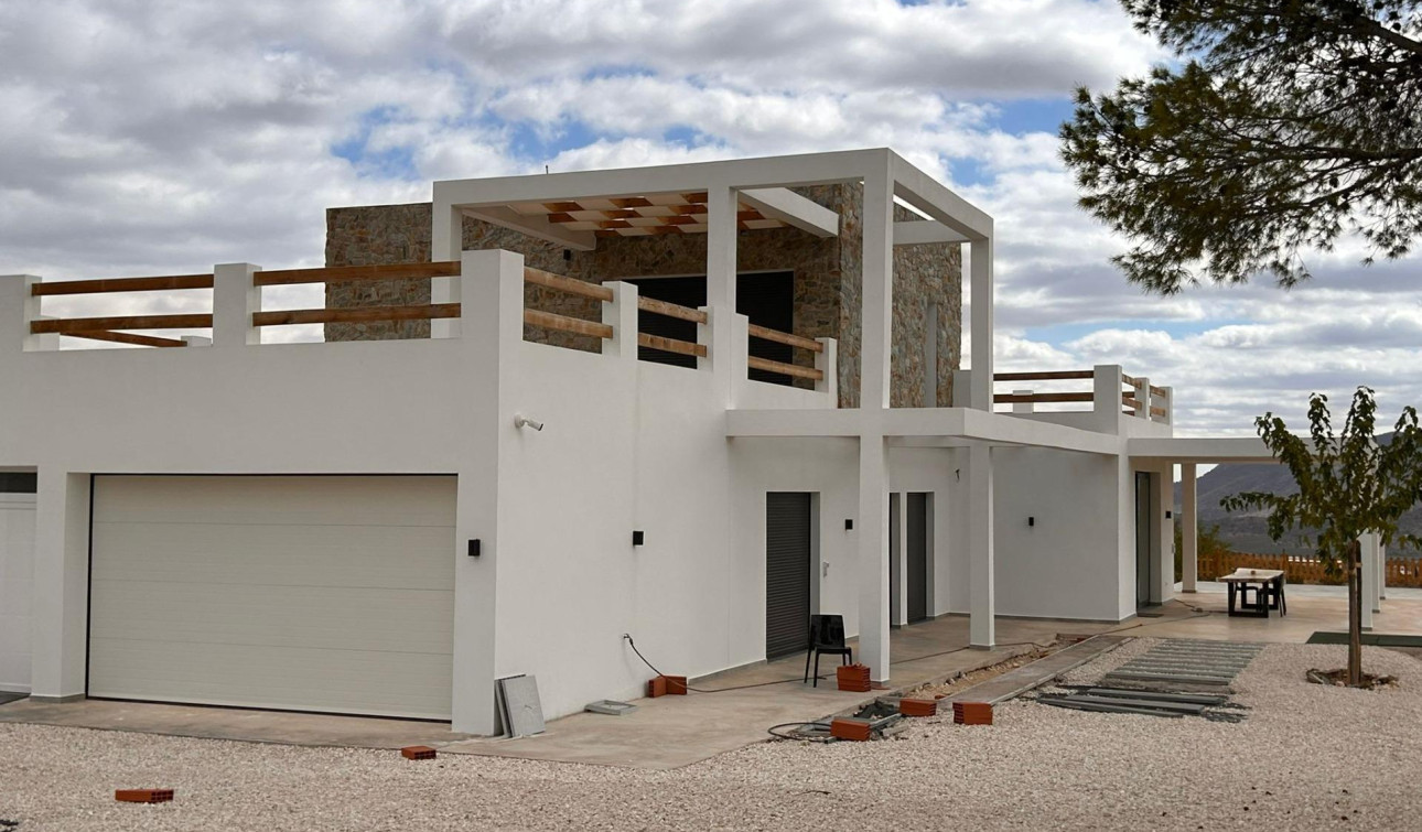 Nouvelle construction - Villa Individuelle - Pinoso - Casas Pastor