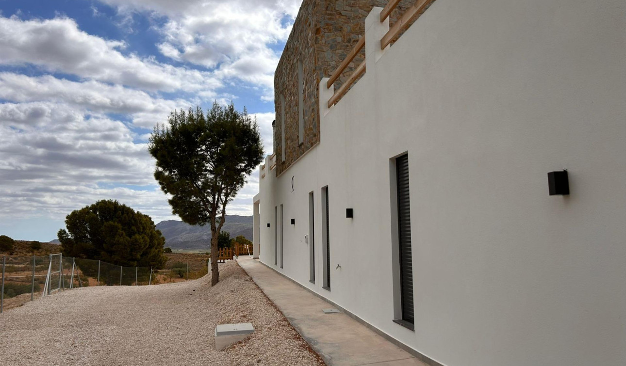 Nouvelle construction - Villa Individuelle - Pinoso - Casas Pastor
