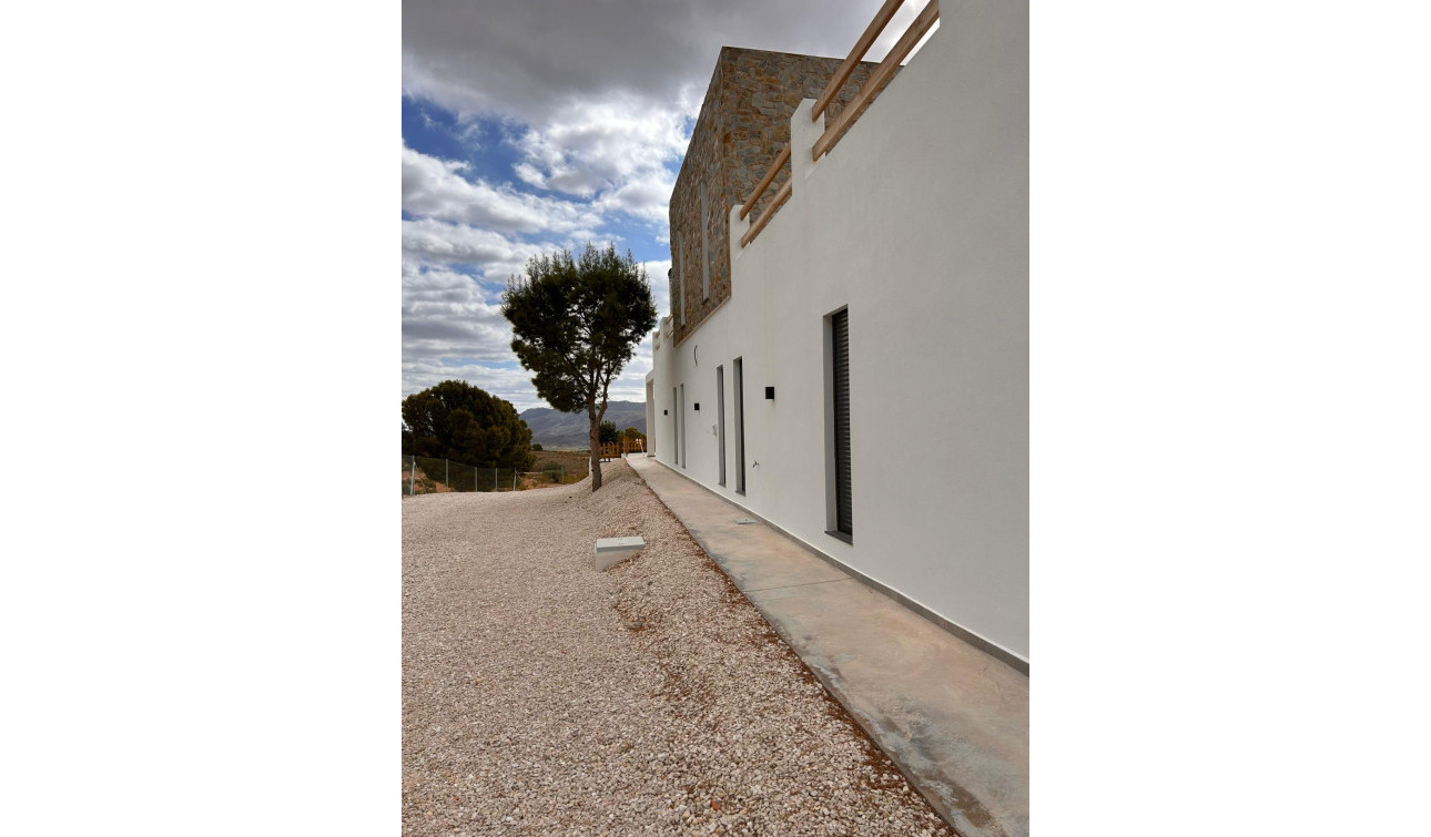 Nouvelle construction - Villa Individuelle - Pinoso - Casas Pastor