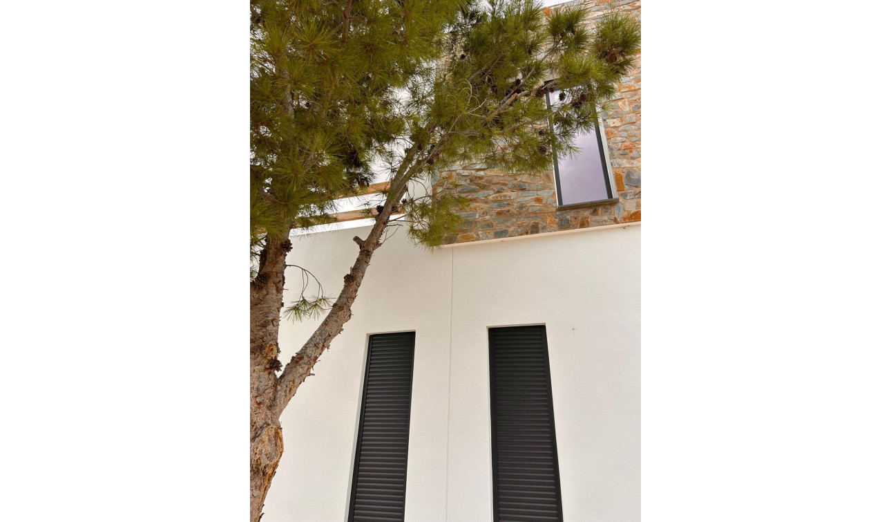 Nouvelle construction - Villa Individuelle - Pinoso - Casas Pastor