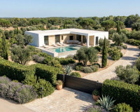 Nouvelle construction - Villa Individuelle - Pinoso - Casas Pastor