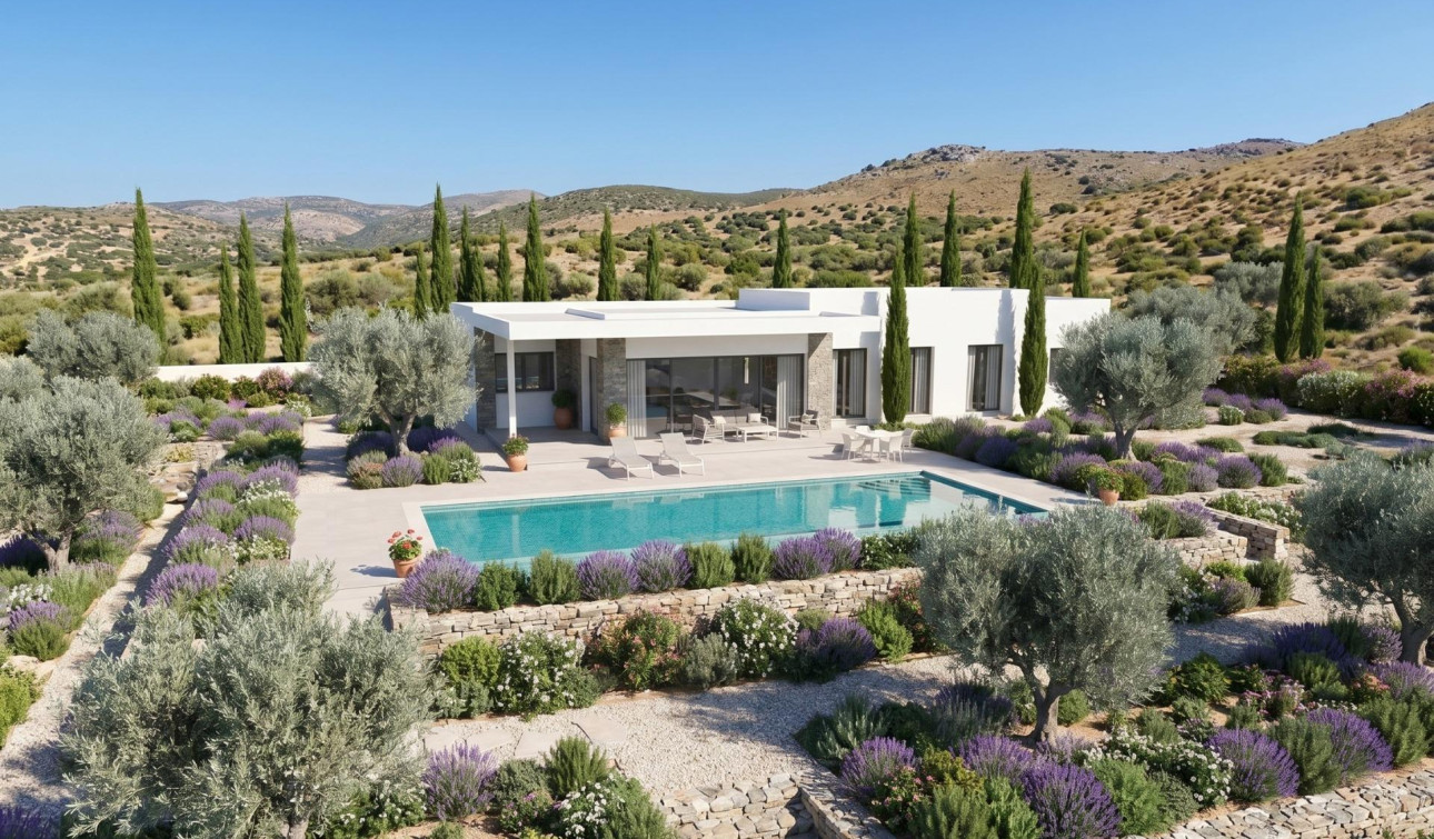Nouvelle construction - Villa Individuelle - Pinoso - Casas Pastor