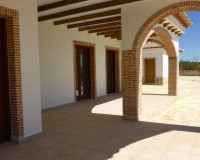 Nouvelle construction - Villa Individuelle - Pinoso - Centro