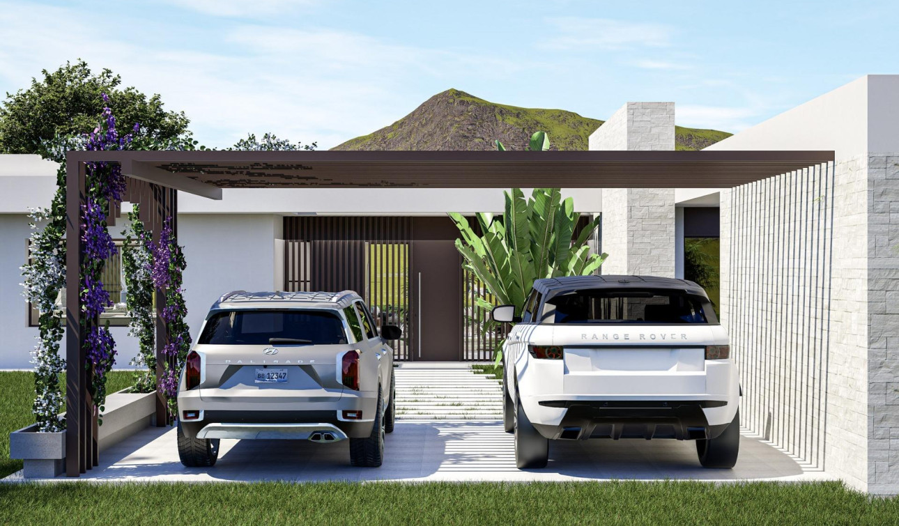 Nouvelle construction - Villa Individuelle - Pinoso - Lel