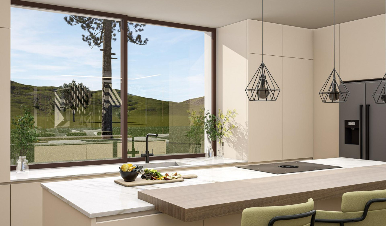 Nouvelle construction - Villa Individuelle - Pinoso - Lel