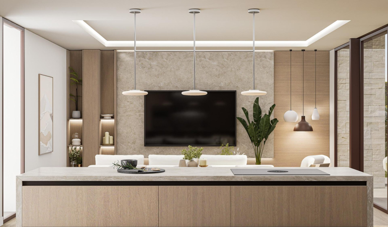 Nouvelle construction - Villa Individuelle - Pinoso - Lel