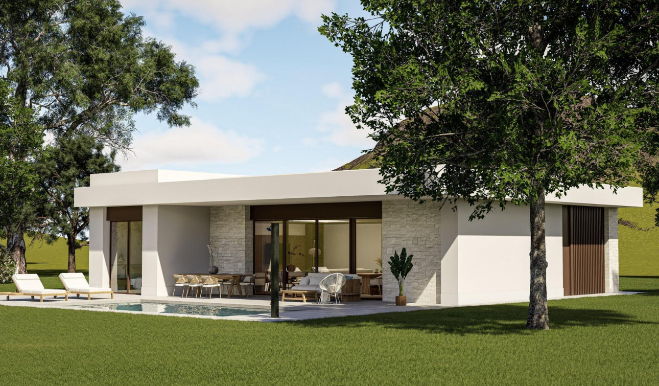 Nouvelle construction - Villa Individuelle - Pinoso - Lel