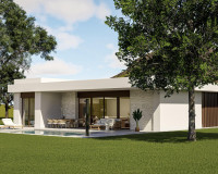 Nouvelle construction - Villa Individuelle - Pinoso - Lel