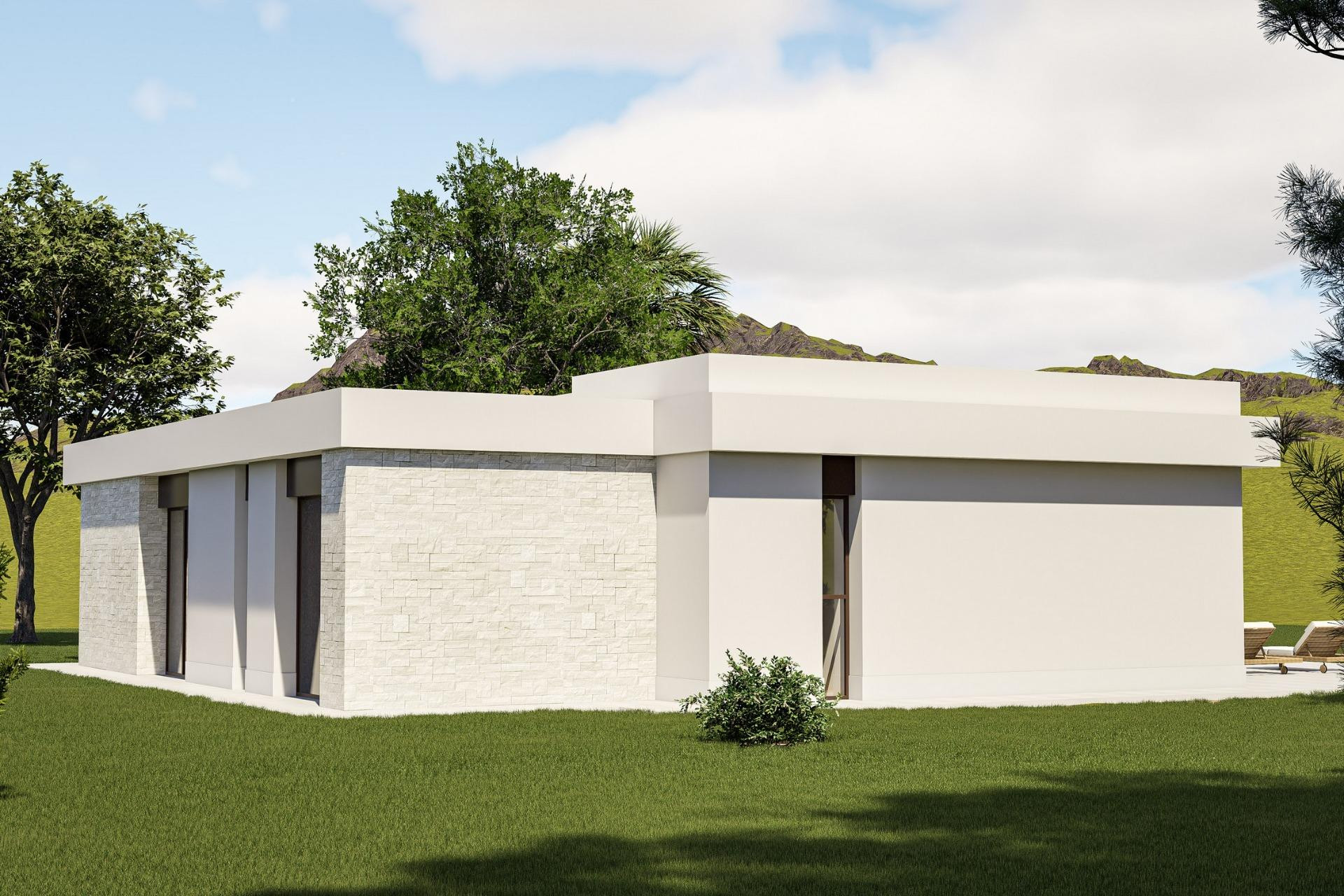 Nouvelle construction - Villa Individuelle - Pinoso - Lel