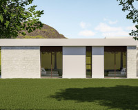 Nouvelle construction - Villa Individuelle - Pinoso - Lel