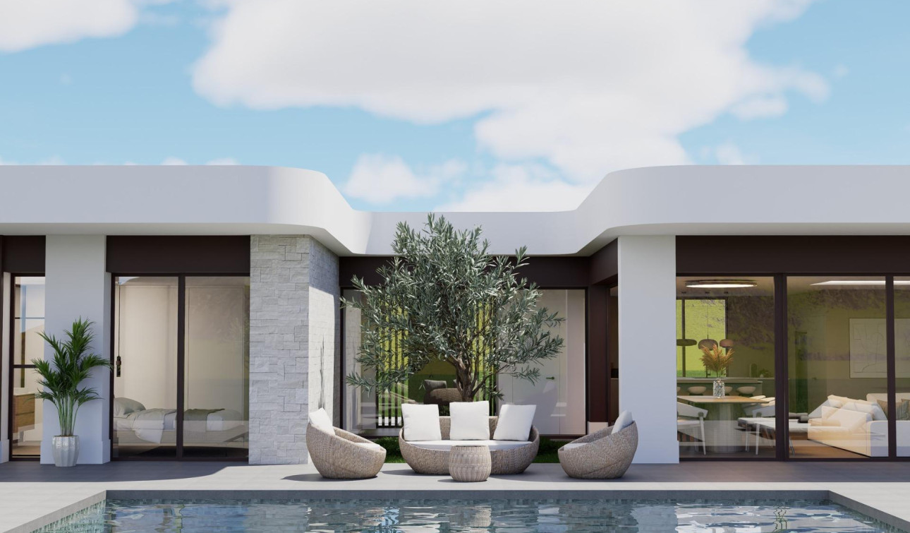Nouvelle construction - Villa Individuelle - Pinoso - Lel
