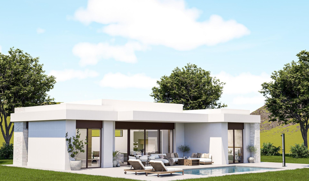 Nouvelle construction - Villa Individuelle - Pinoso - Lel