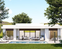 Nouvelle construction - Villa Individuelle - Pinoso - Lel