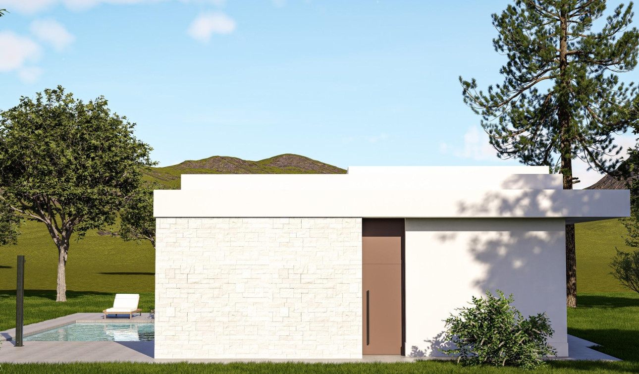 Nouvelle construction - Villa Individuelle - Pinoso - Lel