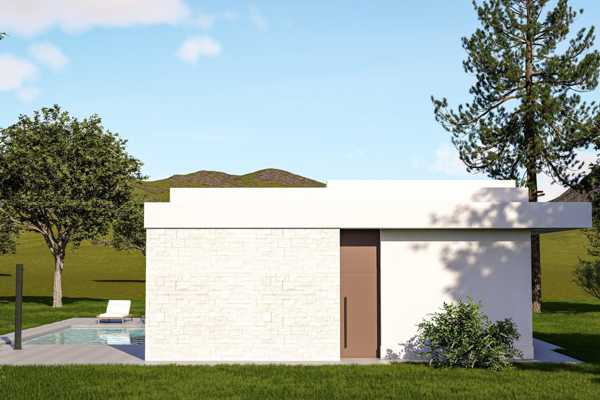 Nouvelle construction - Villa Individuelle - Pinoso - Lel