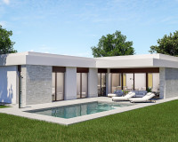 Nouvelle construction - Villa Individuelle - Pinoso - Lel